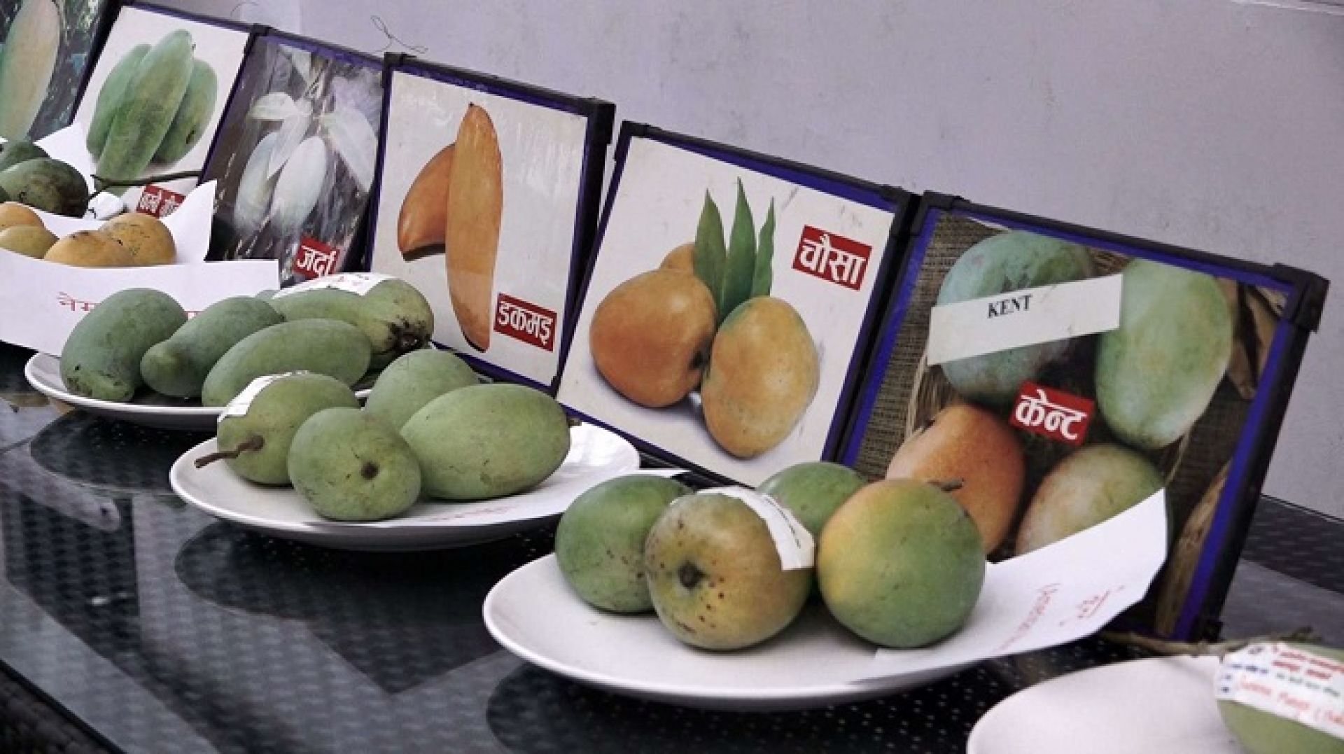 काठमाडौंमा आँप महोत्सव: प्रतिकिलो चार लाख पर्ने आँप प्रदर्शनमा 