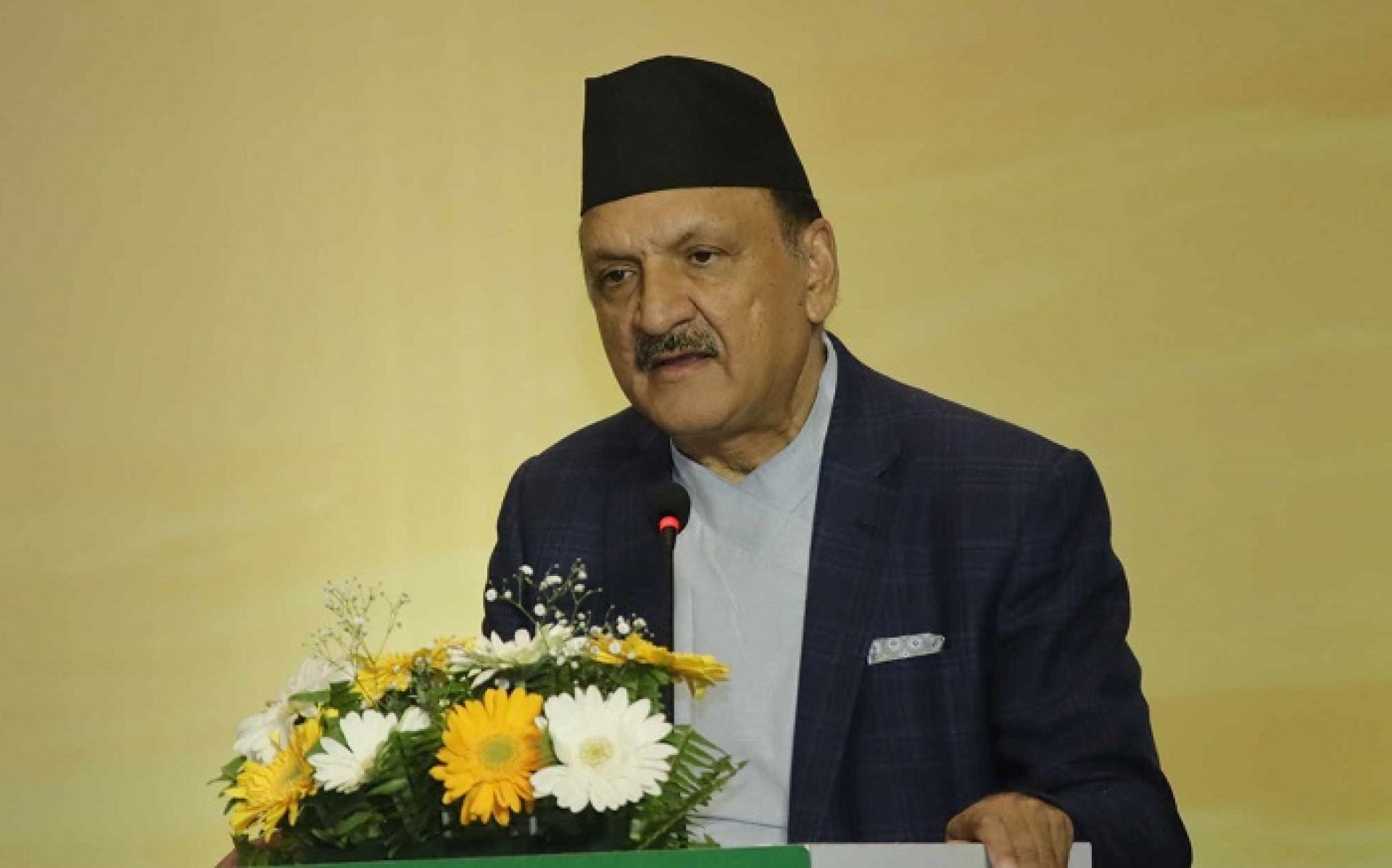 ‘नेपालकाे आईटी र जलविद्युत क्षेत्रमा प्रशस्त सभावना छ लगानी गर्नुहोस्’ 