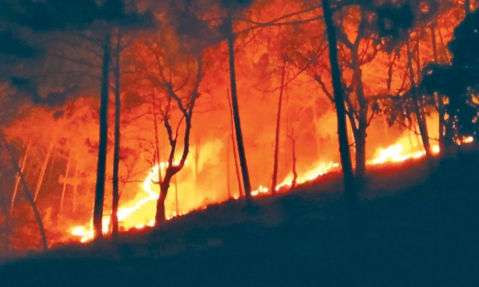 पाँच महिनामा एक हजार बढी आगलागीका घटना, १६ जनाको मृत्यु