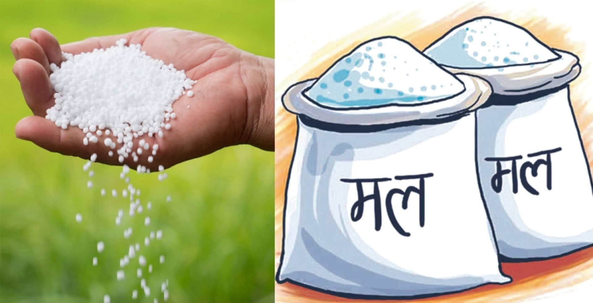 कोटा निर्धारण नहुँदा मल गोदाममा थन्कियो, किसान चिन्तित 