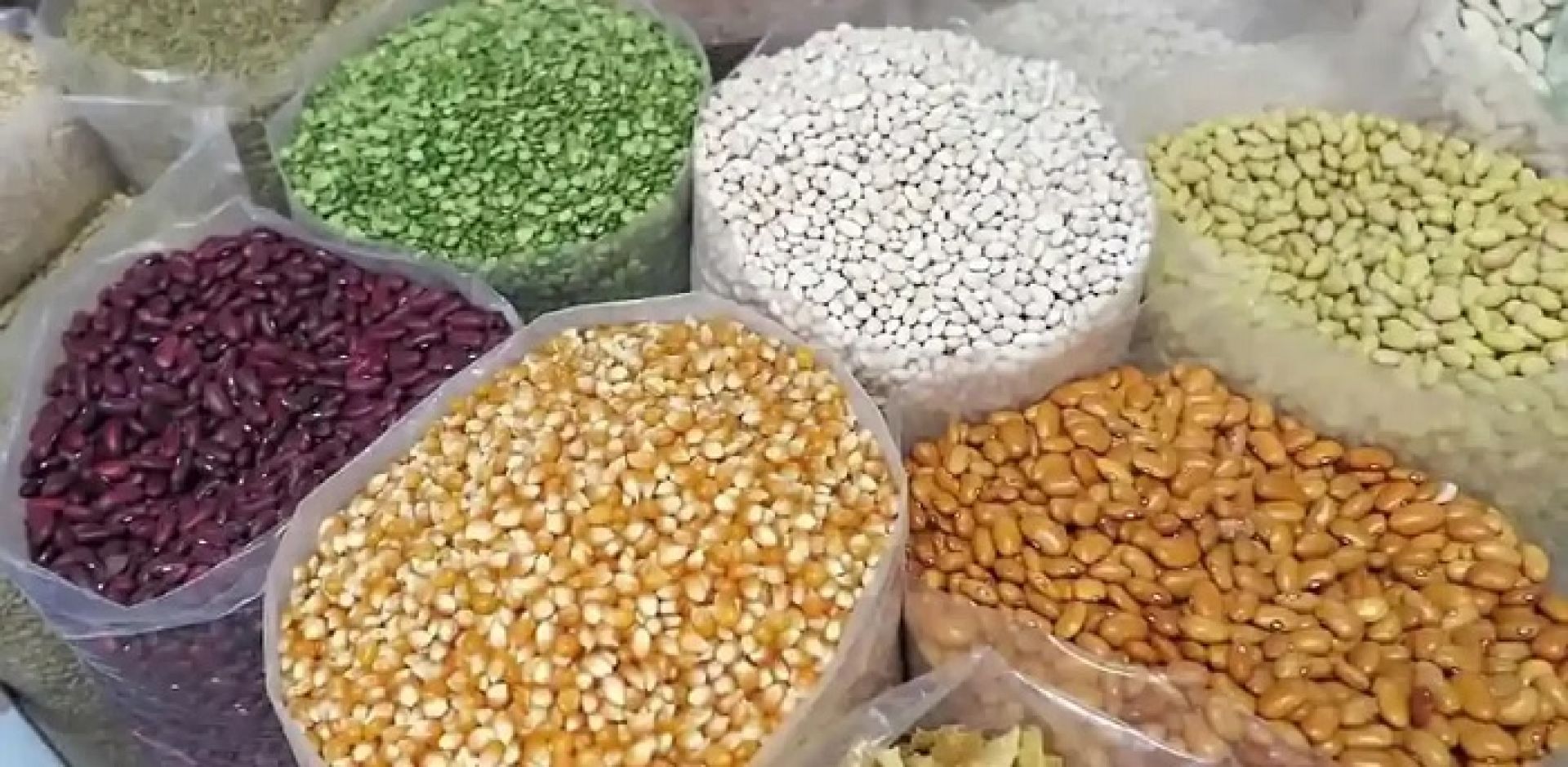 परम्परागत बालीको ‘पकेट’ क्षेत्र बनाउन सहकारीद्वारा कृषि उपज बीउ सङ्कलन