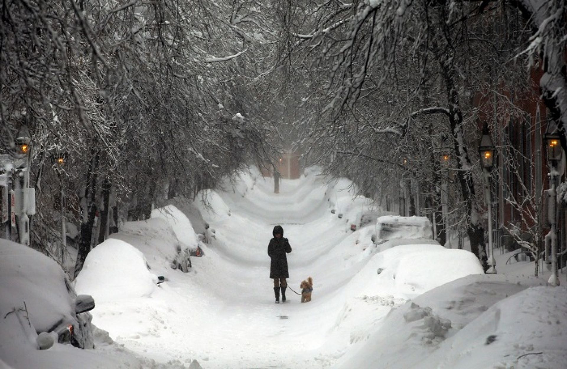 अमेरिकामा भारी हिमपातः १४ हजारभन्दा बढी उडान रद्द, आपतकाल घोषणा