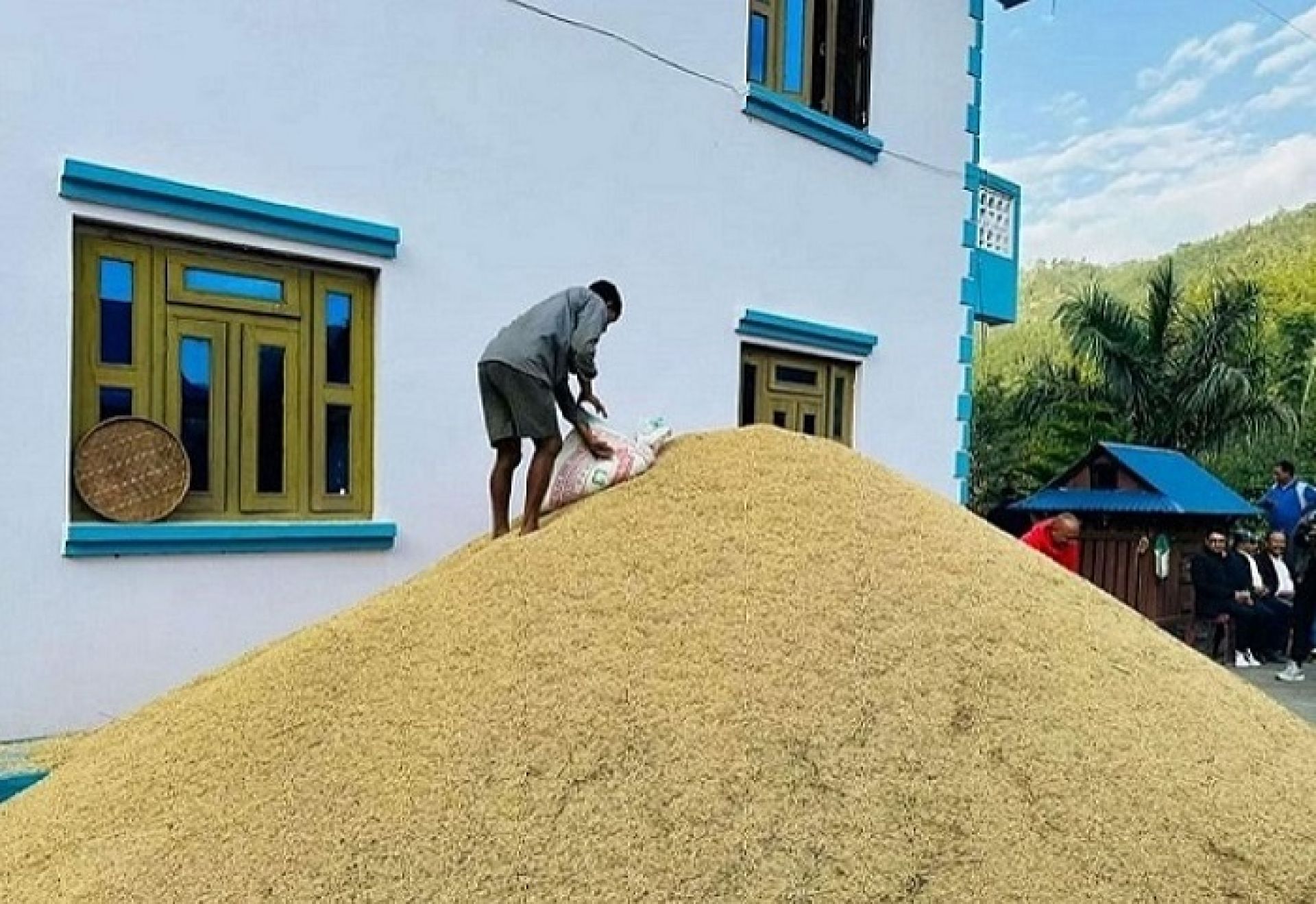 आगामी आर्थिक वर्षका लागि बर्खे धानको समर्थन मूल्य तोकियो