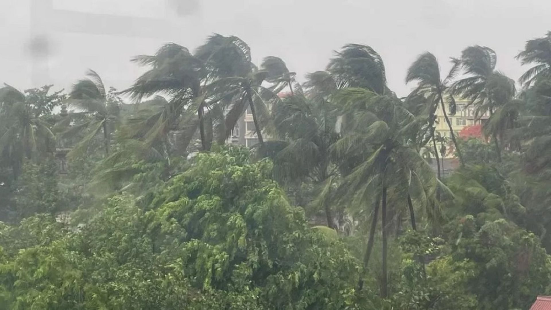 आजको मौसम पूर्वानुमान: यी चार प्रदेशमा धेरै भारी वर्षा, तराईमा हावाहुरी