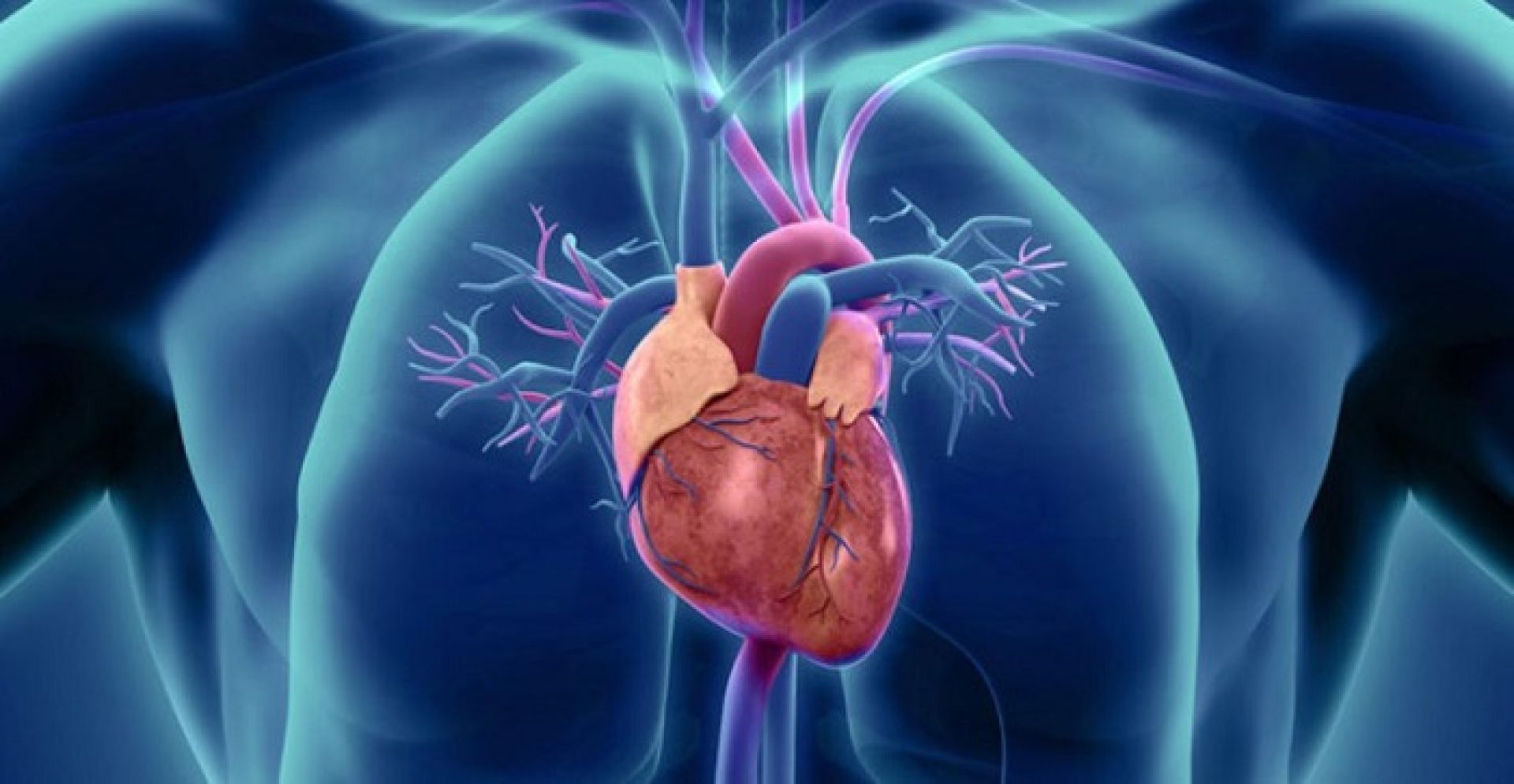 नुन र मुटु रोगको सम्बन्ध, कसरी स्वस्थ्य हुने त ?