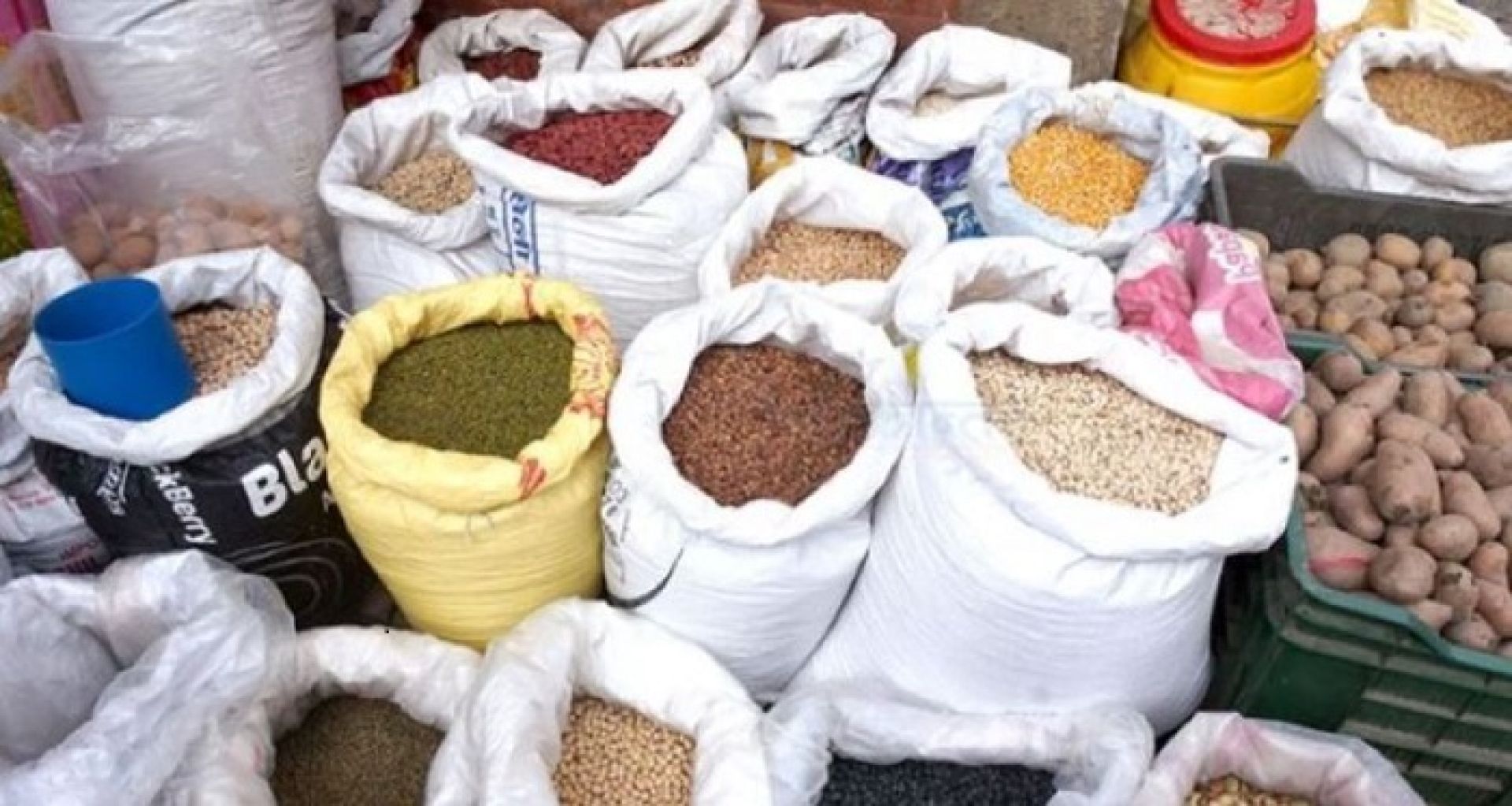 युक्रेन र पोल्याण्डका कृषि मन्त्रीबीच खाद्यान्न निर्यातबारे छलफल