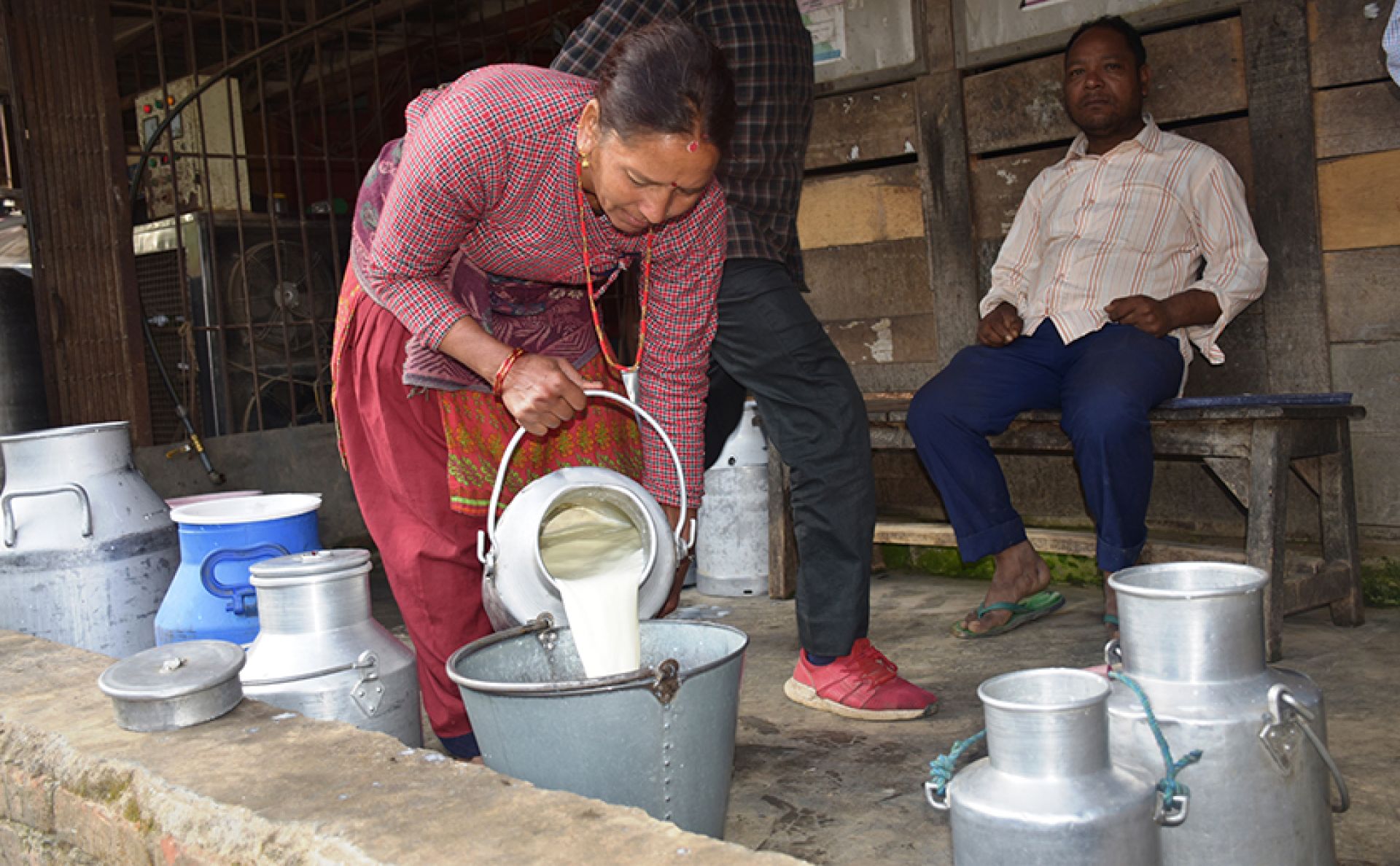 दूध उत्पादक किसानलाई सरकारको प्रोत्साहन, दिन थाल्यो प्रतिलिटर पाँच रुपैयाँ अनुदान