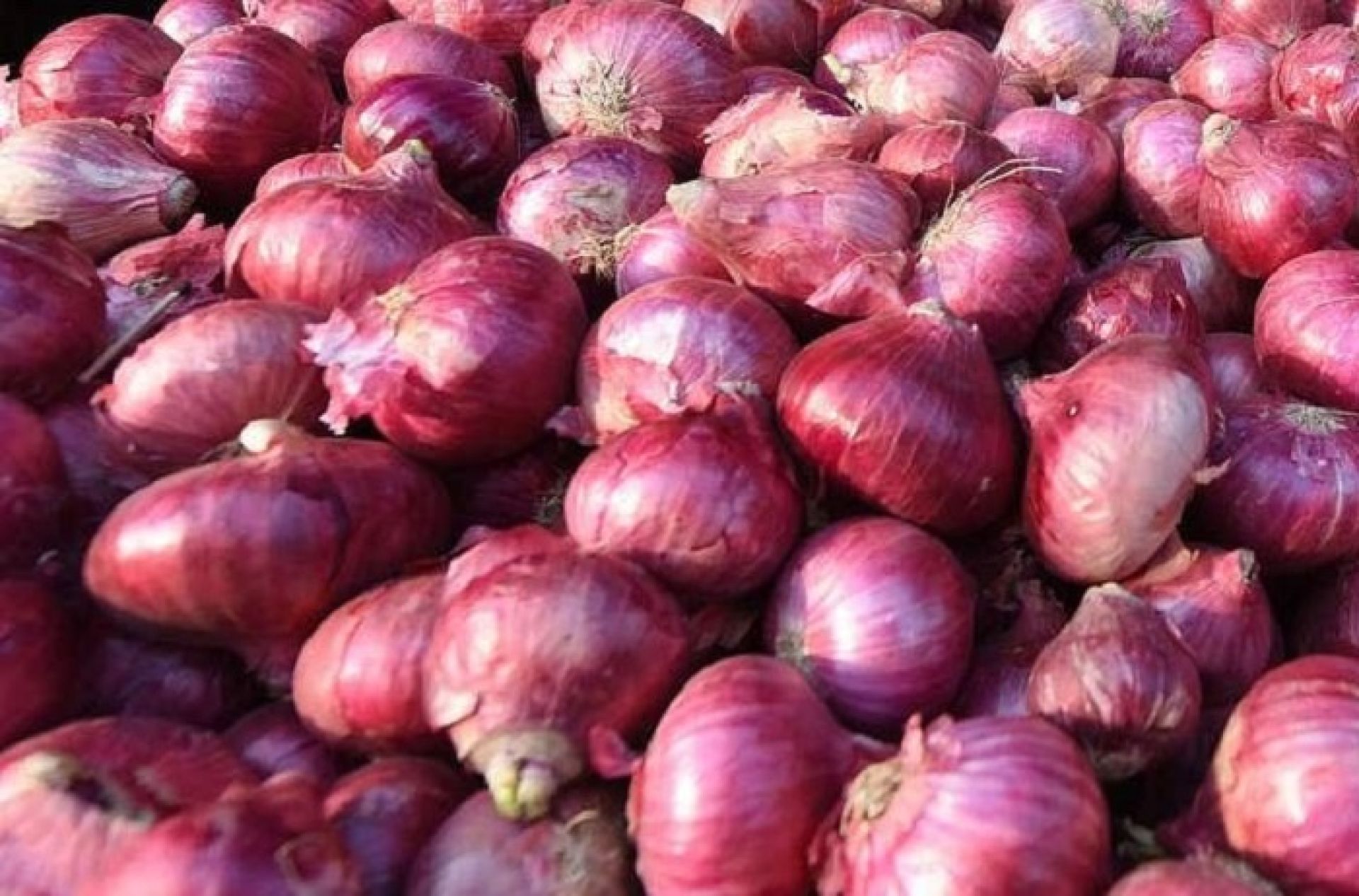 ३४ टन प्याज चोरी पैठारी गर्नेविरुद्ध मुद्दा दायर, ३६ लाख ५८ हजार मागदाबी 