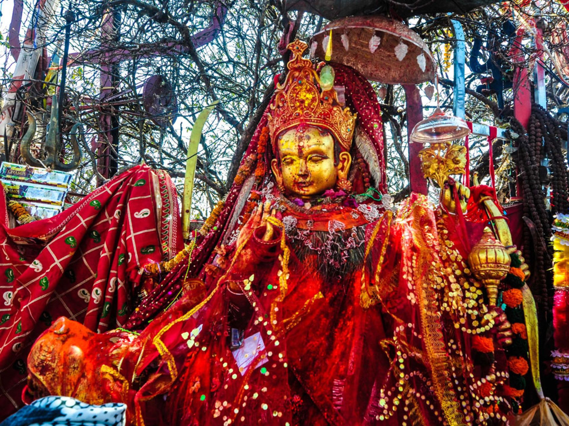 पाथीभराको नाममा सहयोग सङ्कलन रोक्न प्रशासनलाई आग्रह