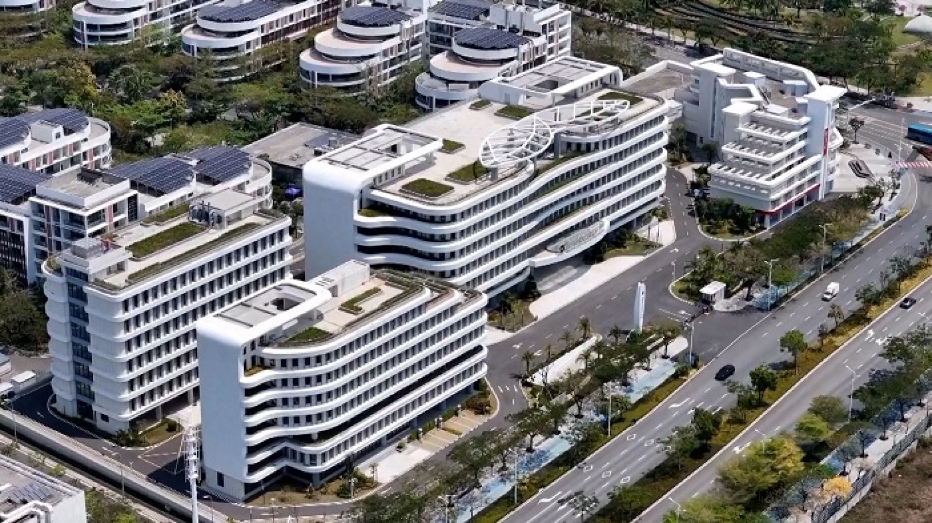 चीनको हाइनानमा मोती उद्योगको ‘क्रेज’: कर छुटले फस्टाउँदै व्यापार