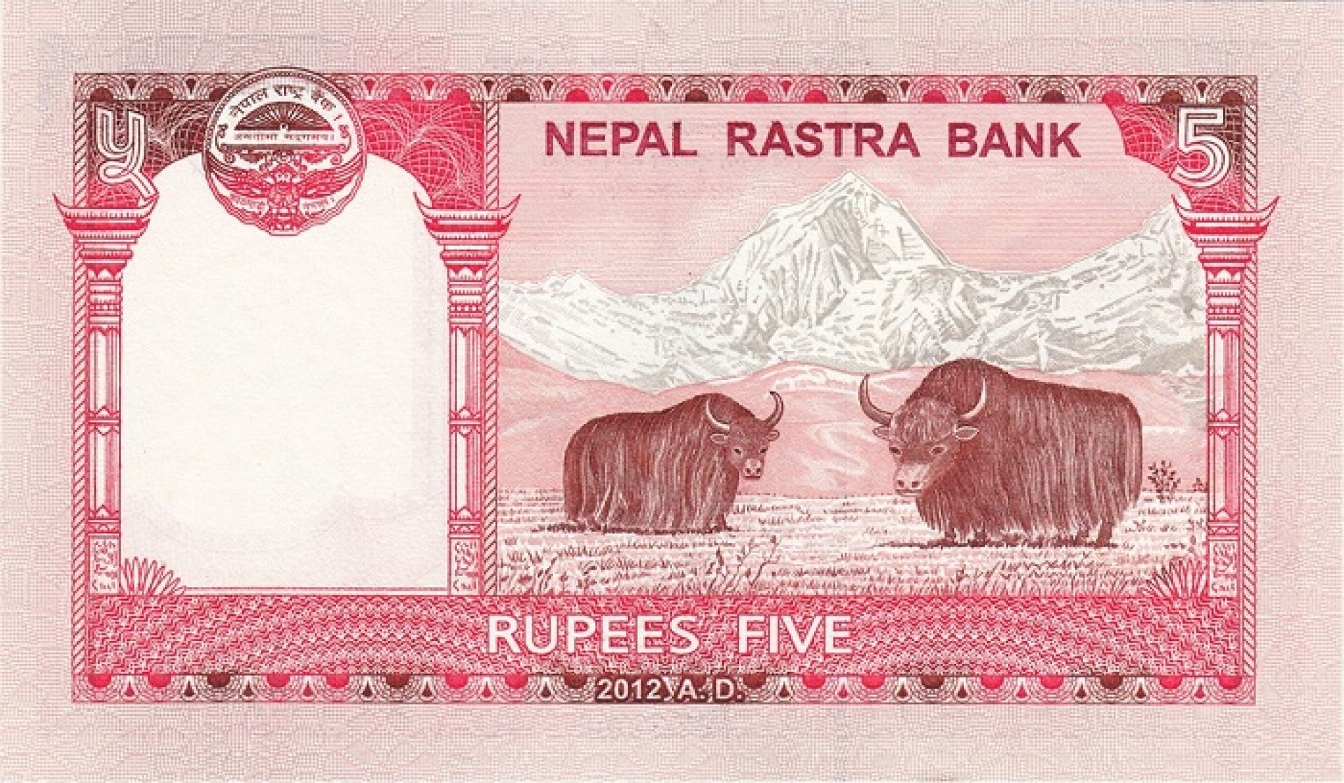 आजदेखि ५ रुपैयाँ दरका नोट प्रचलनमा ल्याउँदै राष्ट्र बैंक