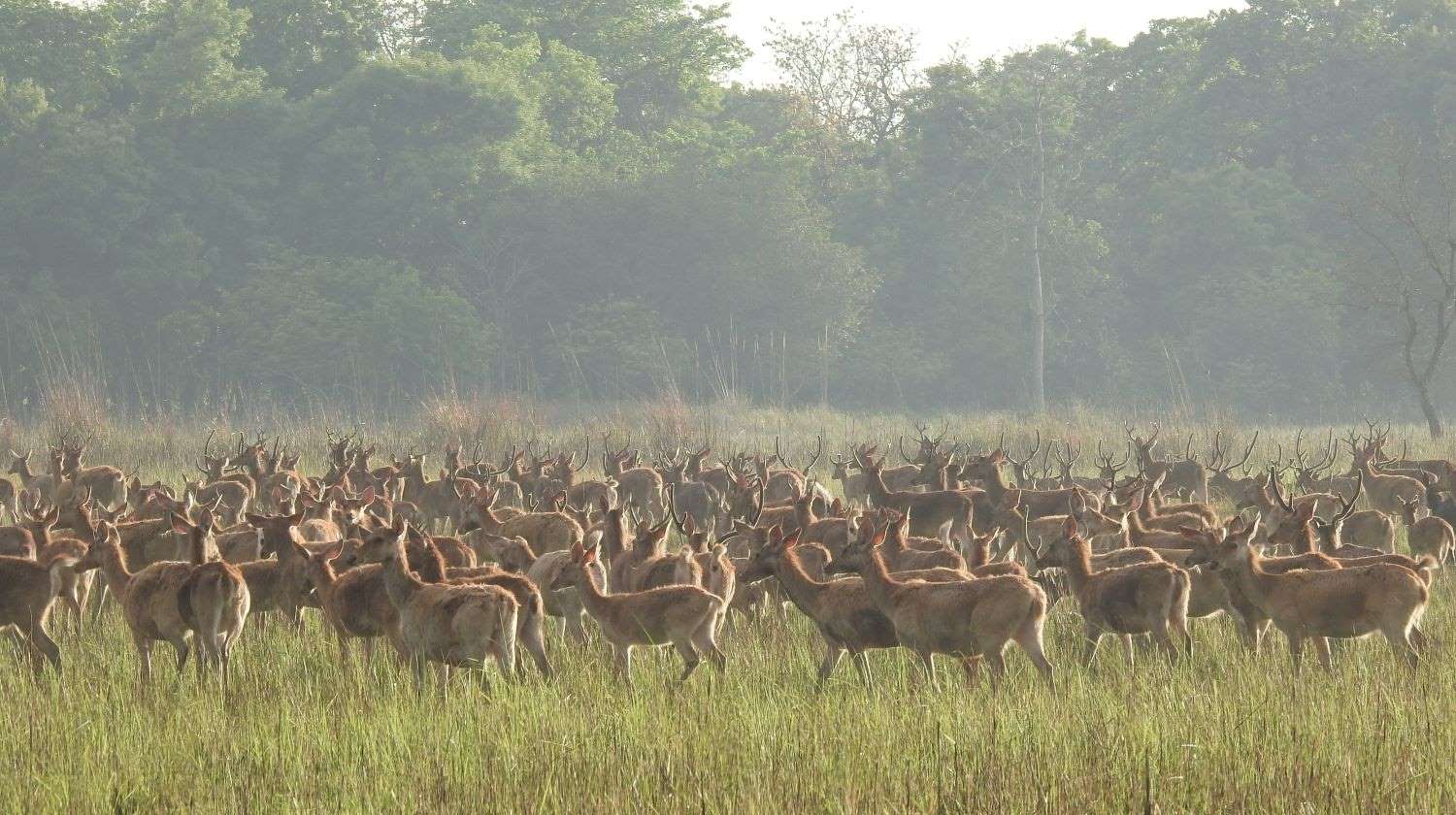 पर्यटकका लागि आकर्षक गन्तव्य ‘शुक्लाफाँटा’