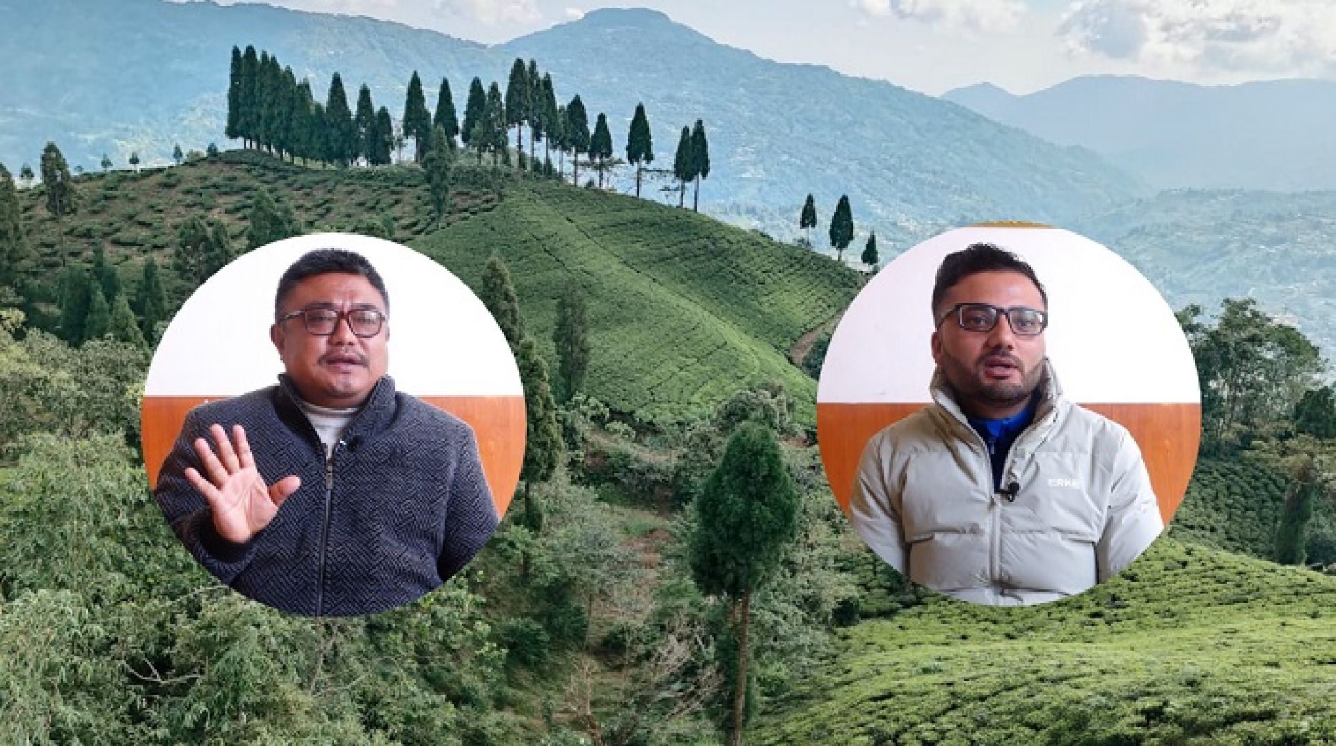 चिया निर्यात कार्यविधिविरुद्ध उद्योगीको आपत्तिः हजारौँ किसान र सयौँ उद्योग संकटमा